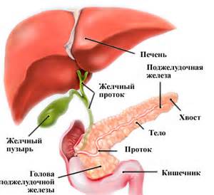 Лечение поджелудочной железы